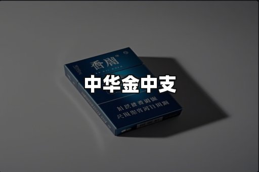 中华金中支